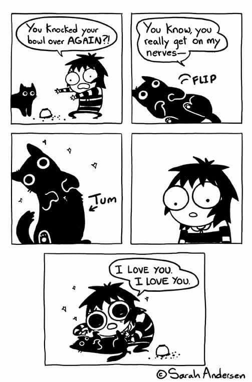 Sarah Anderson web comic