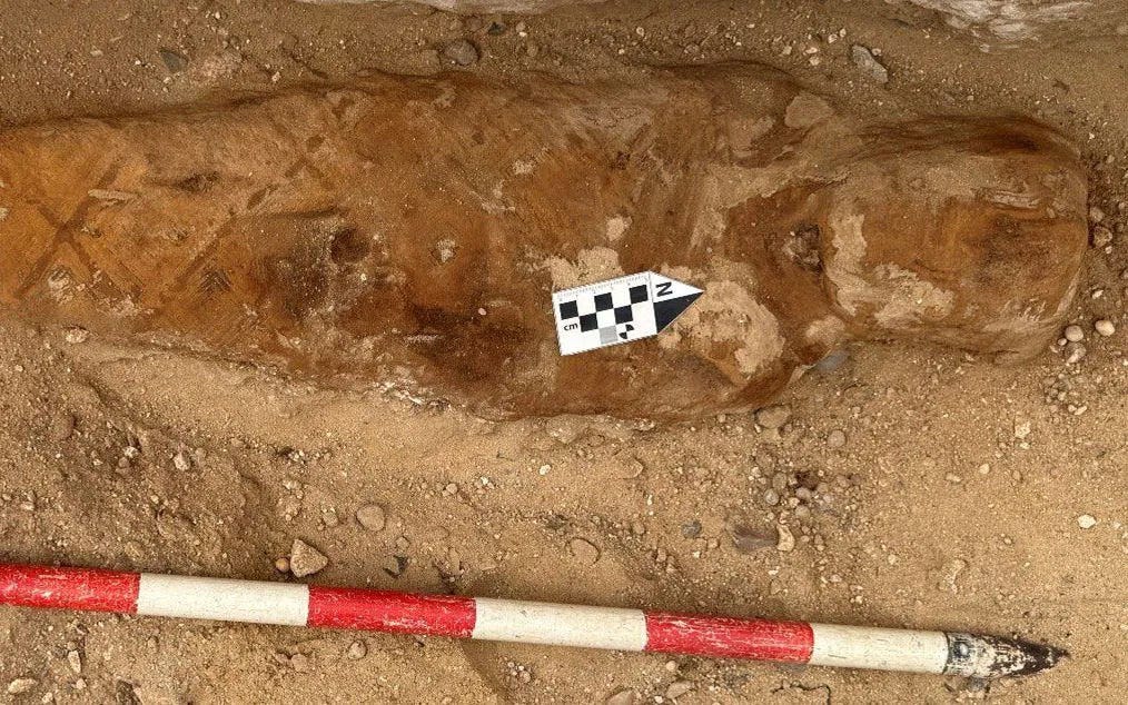 A Fragment of the Iliad Found Inside a Mummy Rethinks How Greeks Were Used in Egyptian Burial Magic