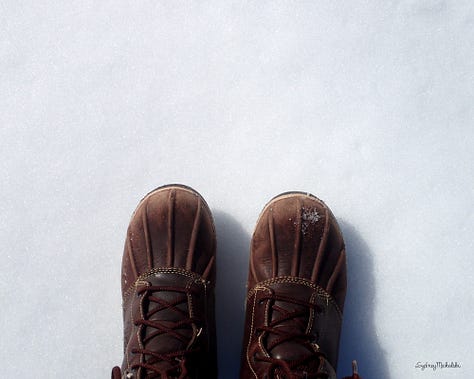 A series of images show: a close-up of dewy dandelion fluff, a pair of winter boots on trackless snow, and wooden knitting needles with wool skeins.