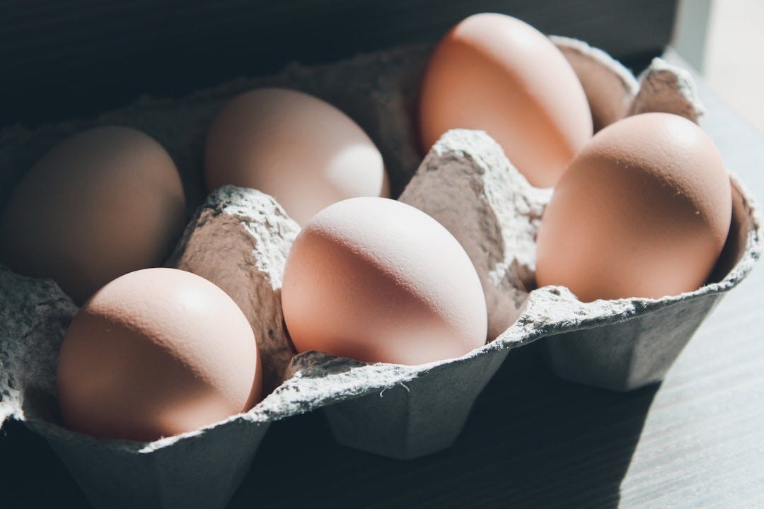 six eggs on tray six eggs on tray