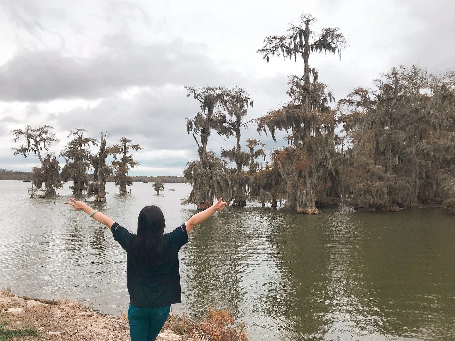  The trees and Spanish mosses of Lake La Pointe near Breaux Bridge, LA 