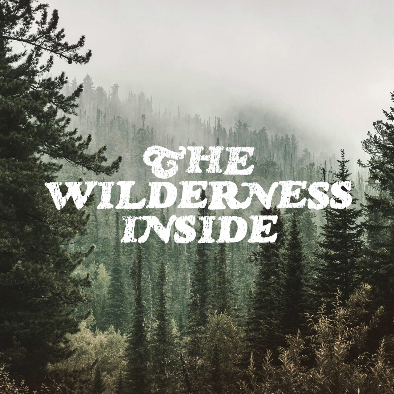 The Wilderness Inside by Charlie Capen