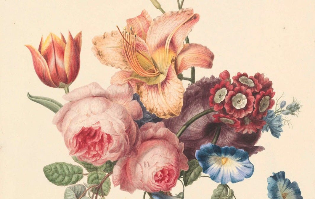 pink and white flower painting