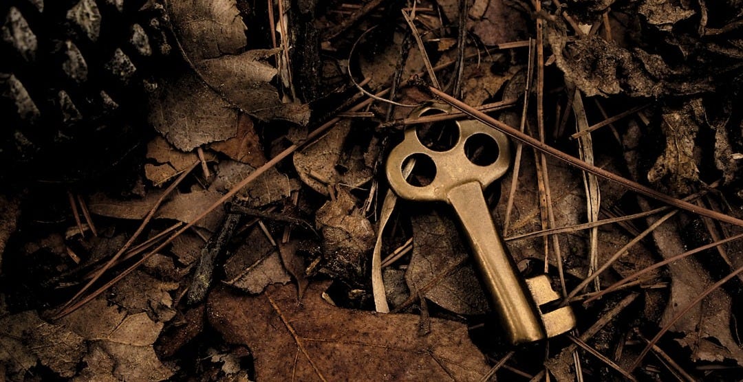 skeleton key surround with dry leaves