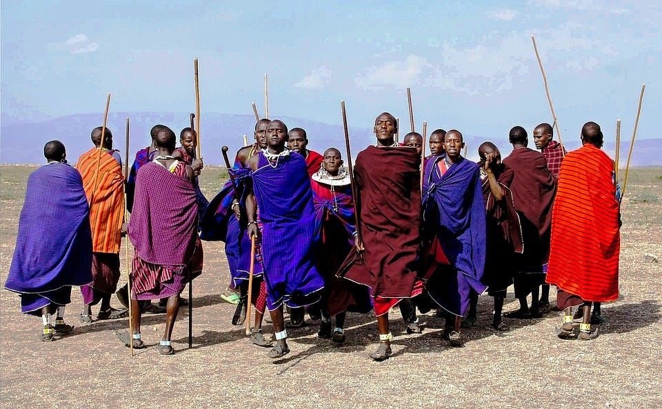 Africa, Tanzania, Nature, Wild, Safari, Wildlife