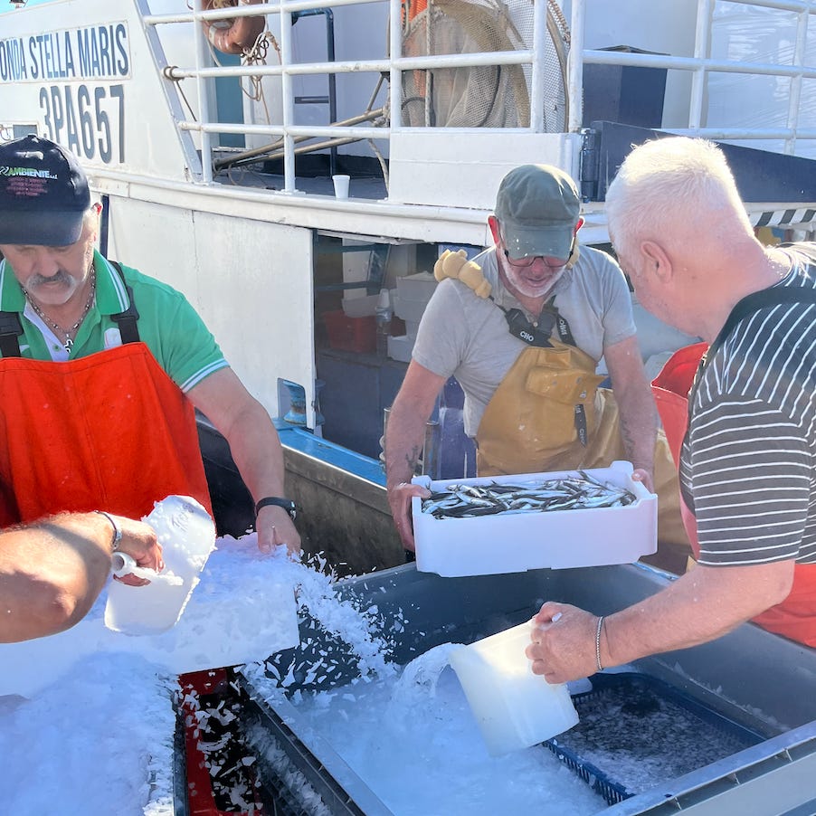 Adventures In Cooking