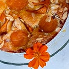 Apricot Almond Torte