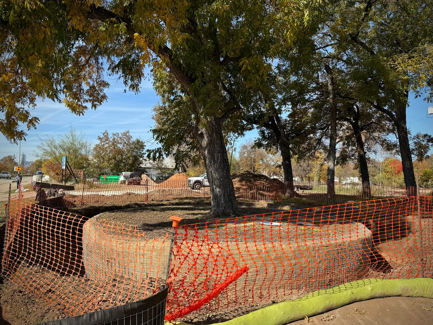 Pecan tree packaged for removal Pecan tree packaged for removal
