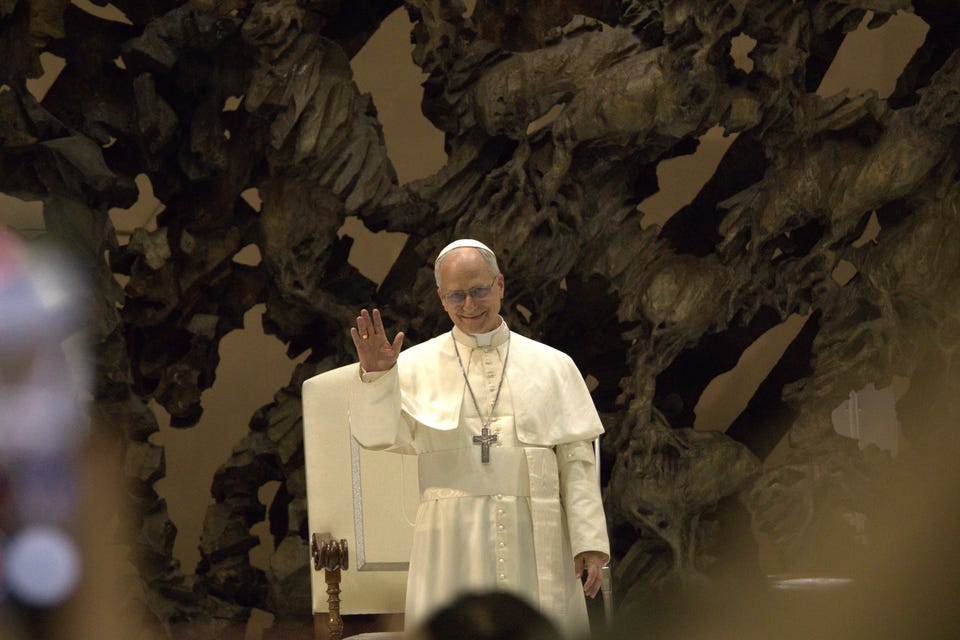 Pope Leo XIV photograph by  Edgar Beltrán