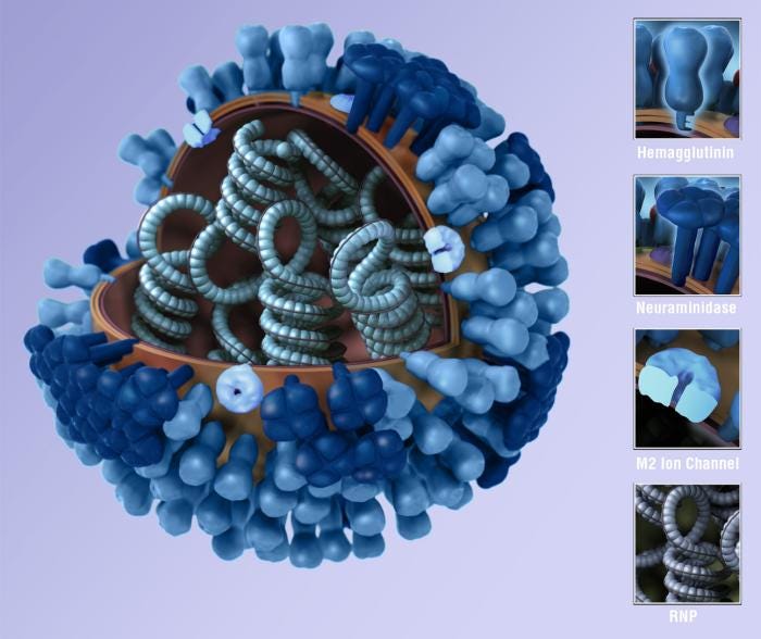 Glfm South Korea issues seasonal influenza epidemic warning