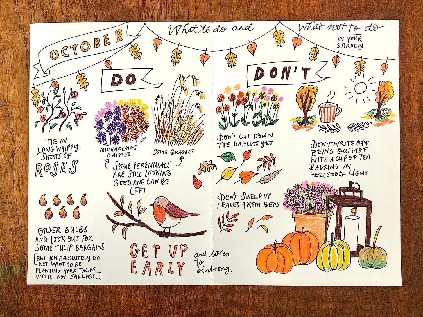 hand drawings in an autumn journal