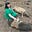 Amy Carroll's avatar