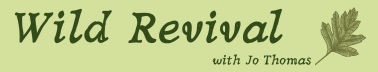Wild Revival