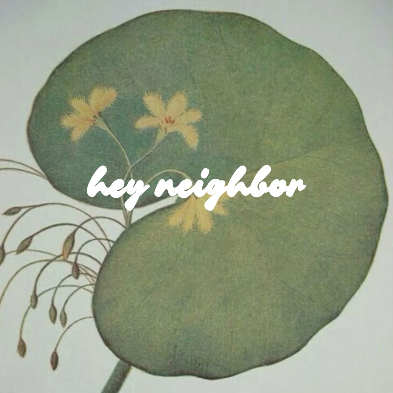 Artwork for hey neighbor