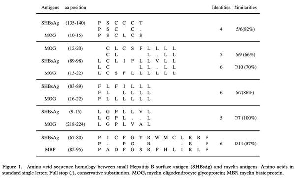 amino acid sequence small hepatitis b surface antigen amino acid sequence small hepatitis b surface antigen
