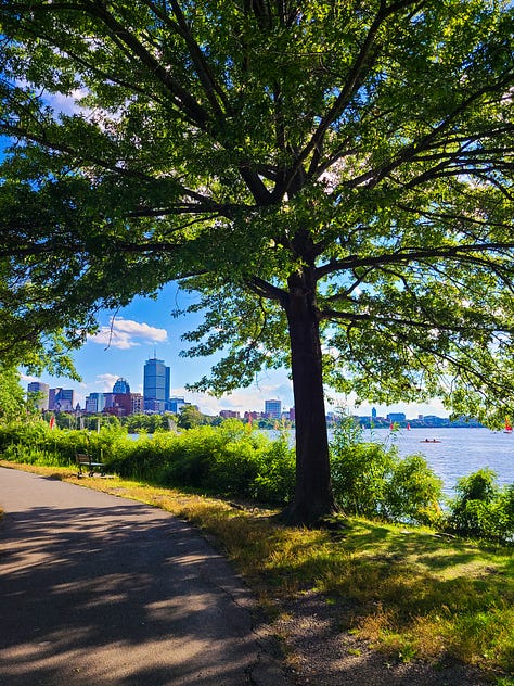 Charlestown sights! Parks and Pleasant St.