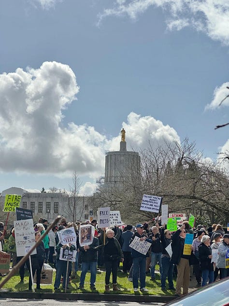 Several photos of protesters around the country with signs opposing the Trump administration and Elon Musk