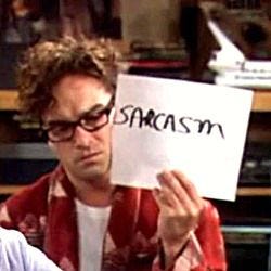 The Sarcasm Sign -- I have one to use in my classroom!