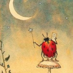 LadyBug