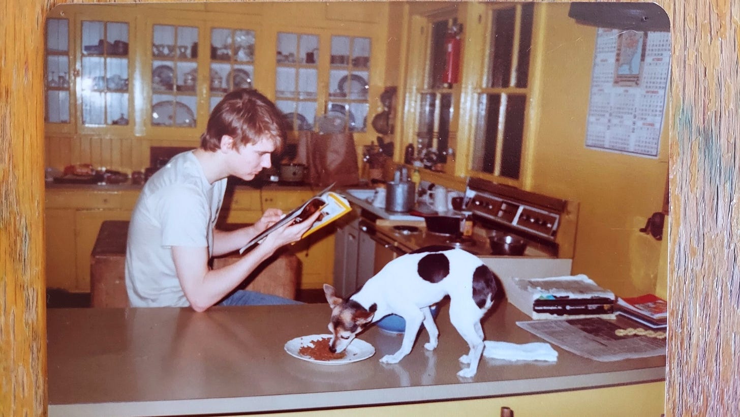 A person reading a book to a dog eating from a plate

AI-generated content may be incorrect.