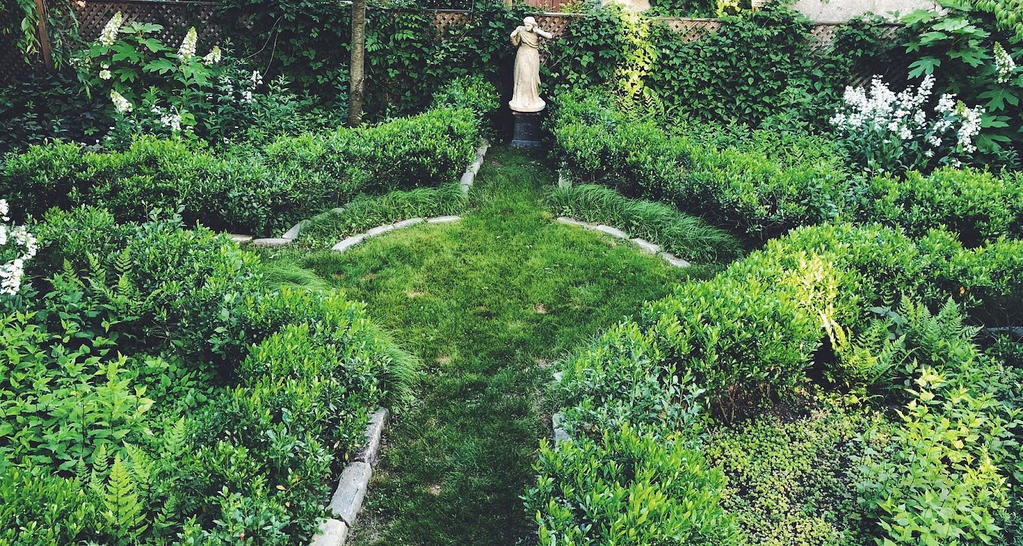 Path rush and Pennsylvania sedge (longer, around circle) in my Brooklyn garden