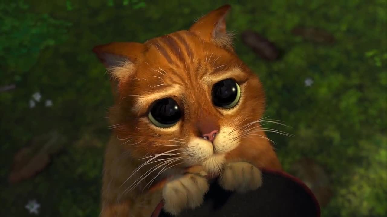 Sad, lonely eyes video clip by Puss in Boots