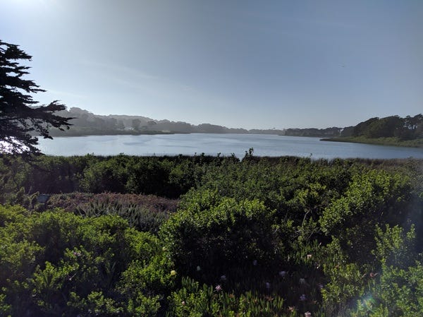 Lake Merced (as usual), all the time. Lake Merced (as usual), all the time.