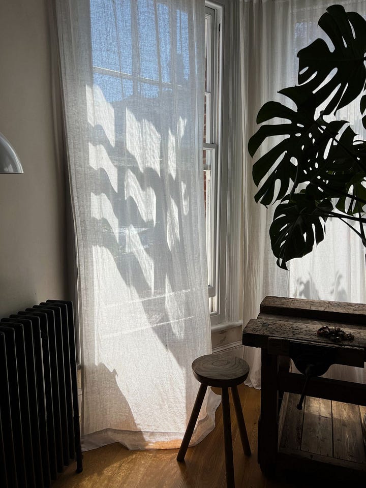 Morning light falls across an open book and a small glass of coffee on a wooden table, then through sheer curtains where the shadow of a houseplant moves gently across the room, evoking a quiet Imbolc morning ritual of stillness, warmth, and orientation.