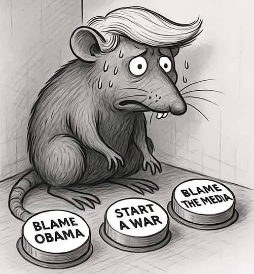 May be an image of rat and text that says 'BLAME THEMEDIA THE MEDIA BLAME OBAMA START AWAR'
