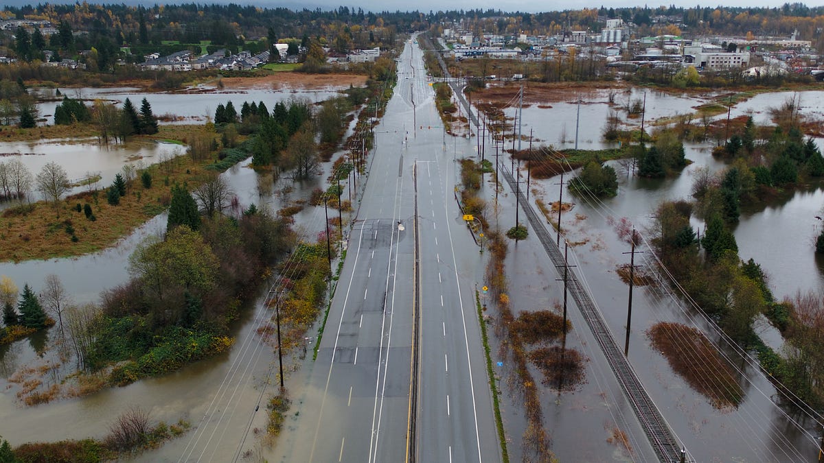 theline.substack.com