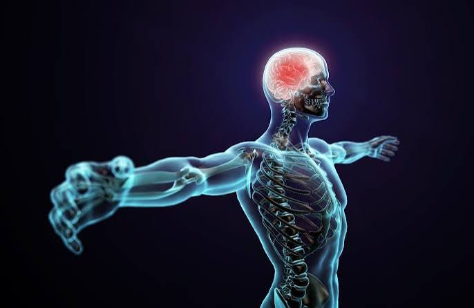 Smart Ways to Keep Your Central Nervous System Healthy - Dr Lal PathLabs Blog Smart Ways to Keep Your Central Nervous System Healthy - Dr Lal PathLabs Blog