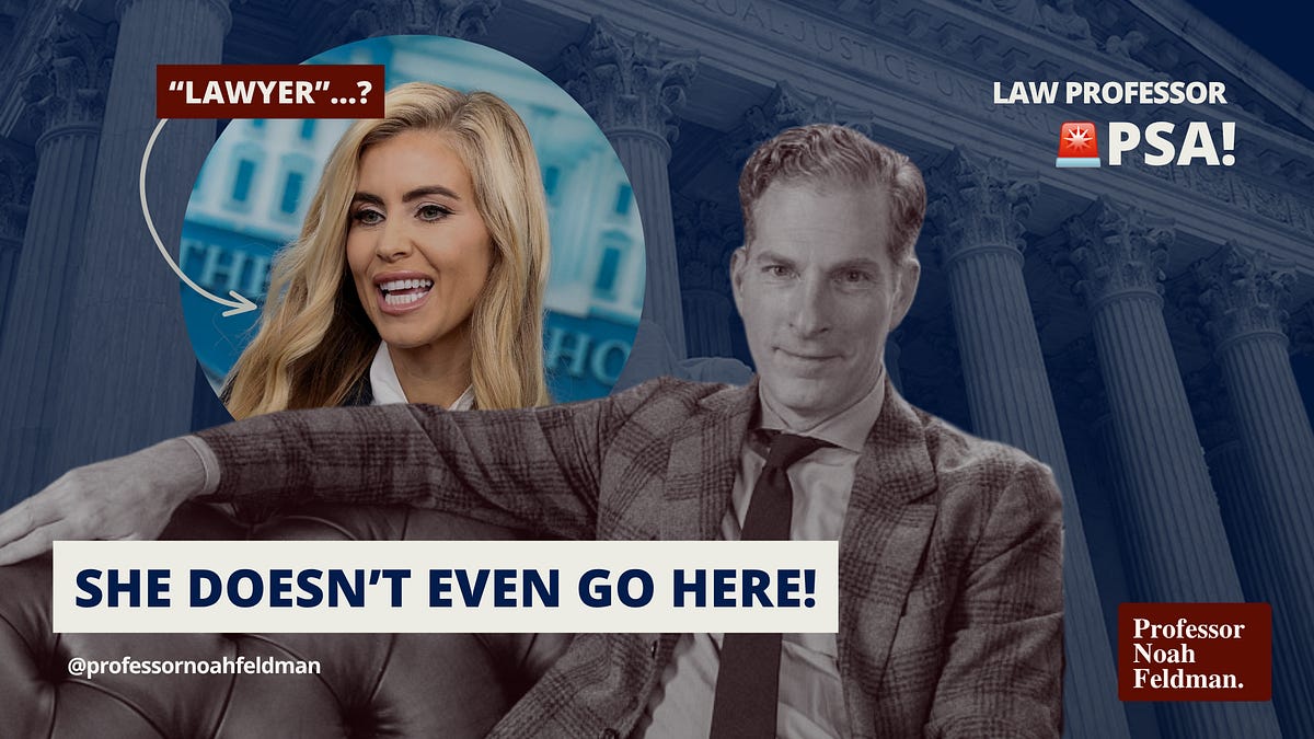 Law professor questions Katie Zacaria legal credentials
