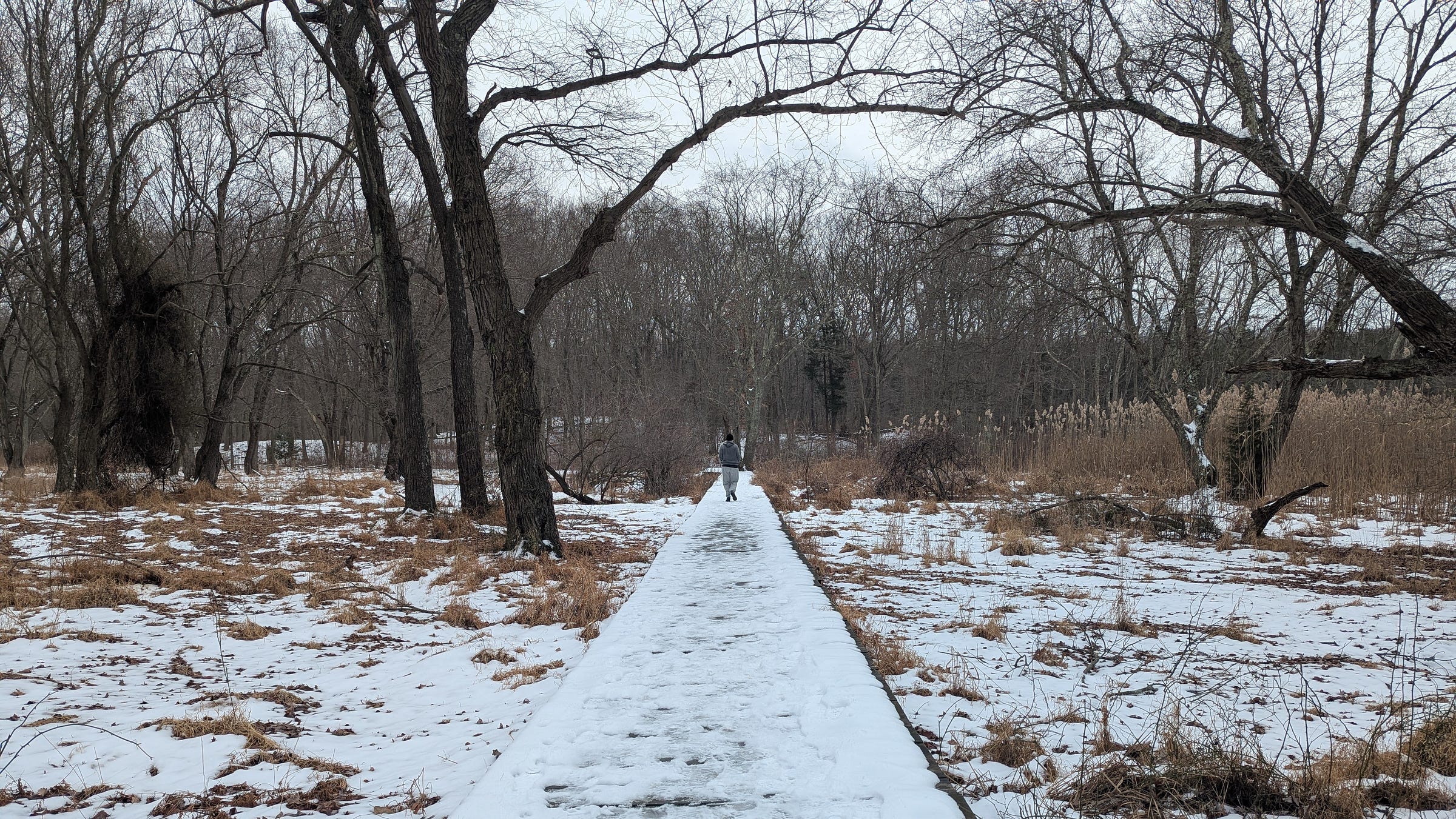 photo of a long boardwalk traversing a grassy, swampy field towards woods. It's winter, there are no leaves on the trees and there is a thin coating of snow on the boardwalk and ground. The boardwalk points towards the distance. There is a figure running on the boardwalk, far ahead of where the photo is taken.