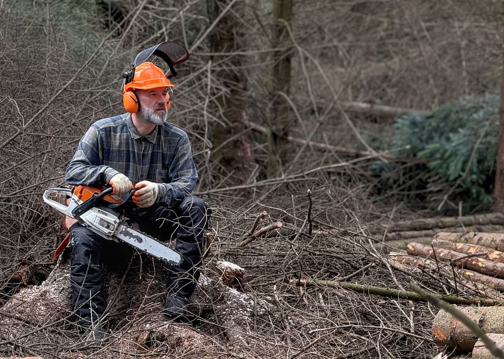 I'm looking wistfully while sat on a tree stump, chainsaw in hand. Photo taken by Joel Chalkley.