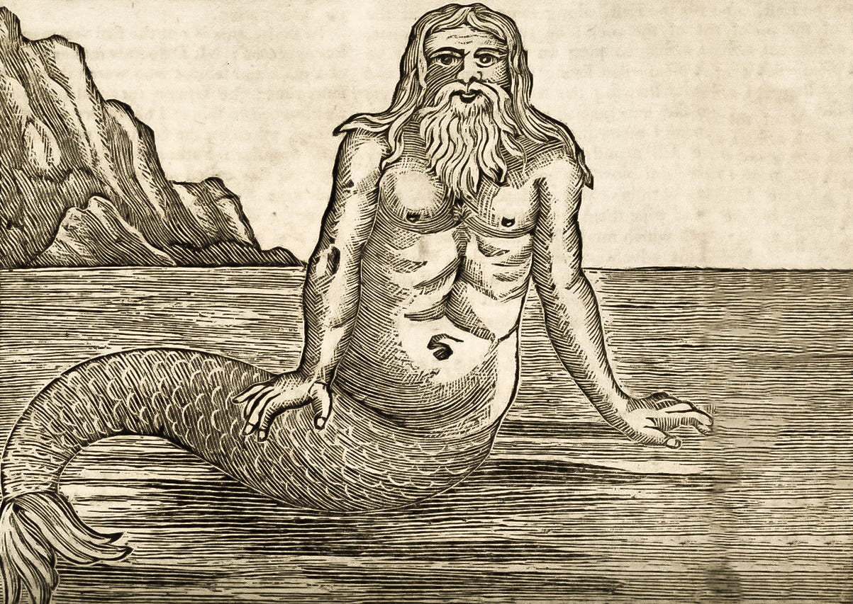 merman drawing