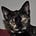 Chas's avatar