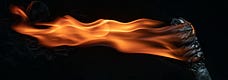 The Torch