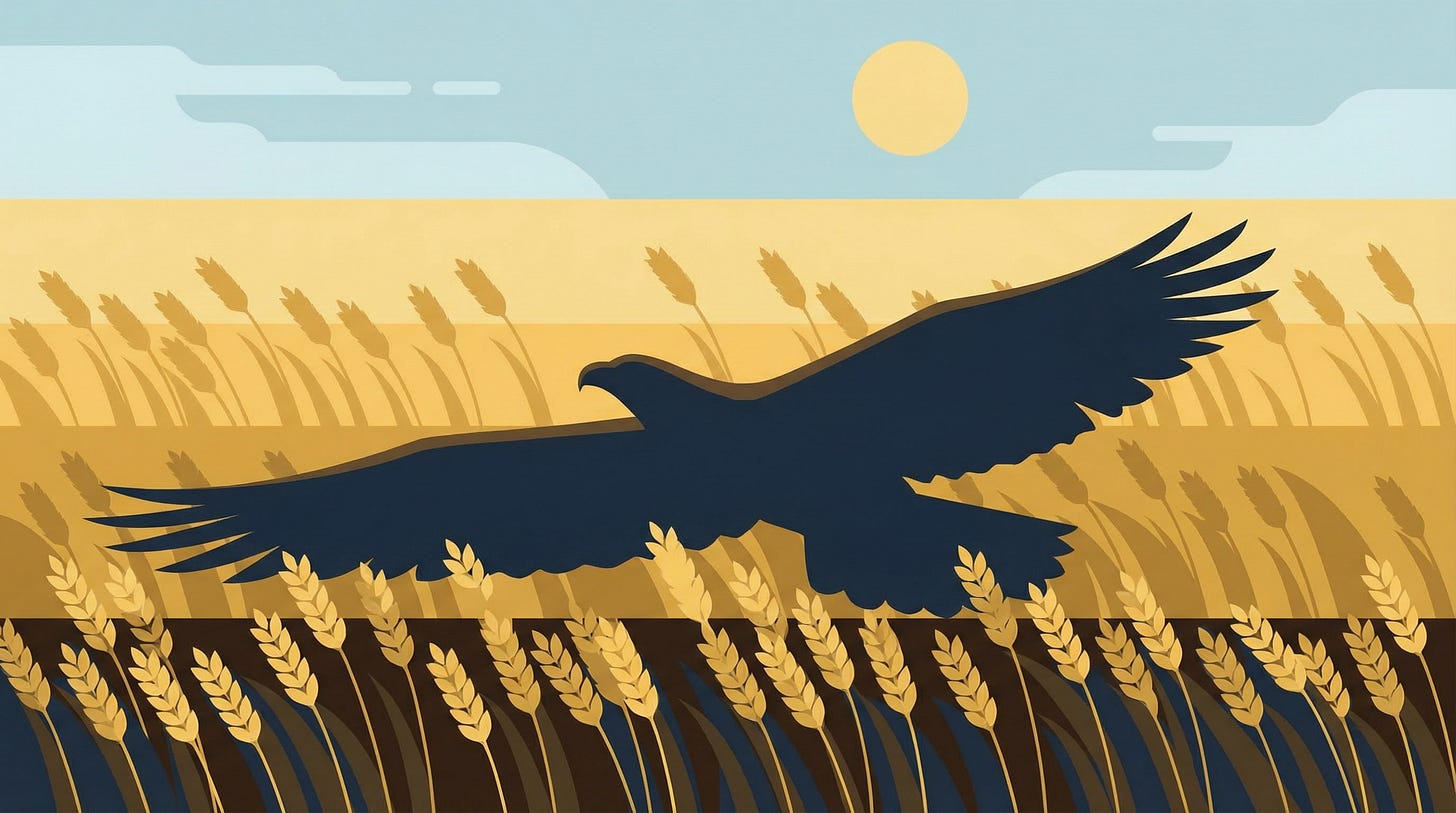 AI-generated illustration of a shadow of an eagle cast over a wheat field, symbolizing expansion/threat to sovereignty.