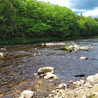 Downeast Trout Unlimited Presents Water Quality in Downeast Maine with Mark Whiting and Medea Steinman Carrie