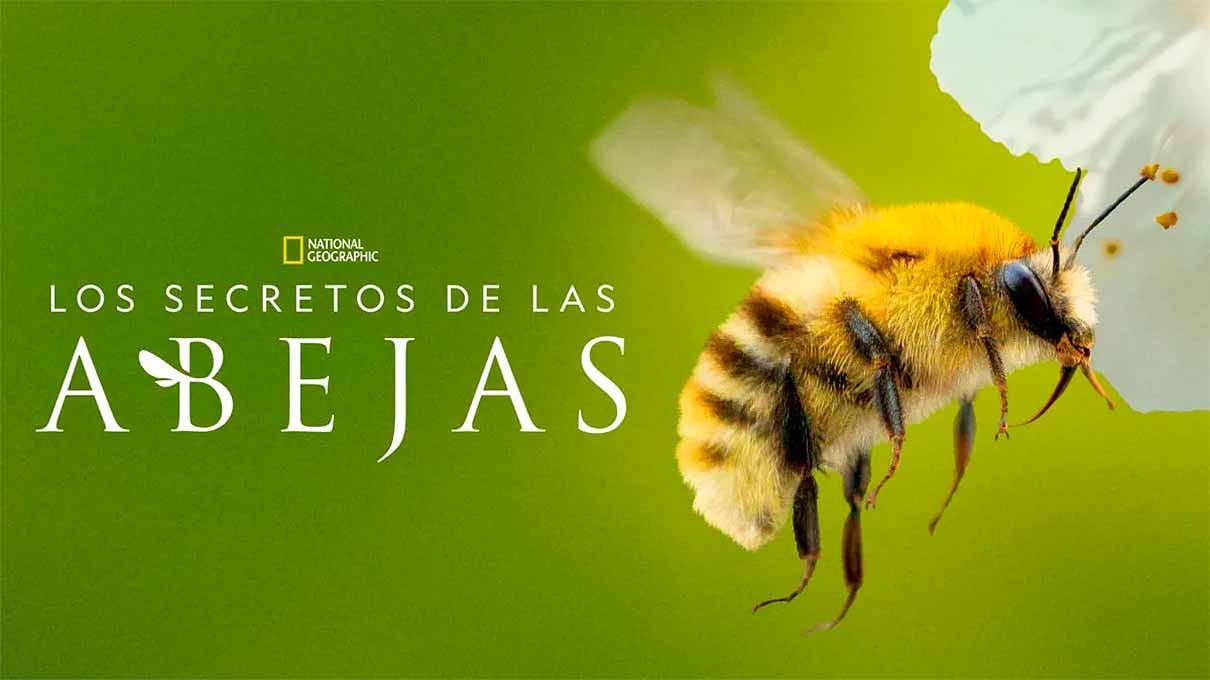 cartel de Los secretos de las abejas