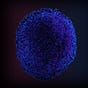 OrganoBit BioIntelligence's avatar
