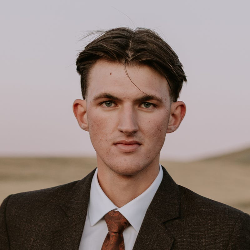 Artwork for Fineas A. Rusu