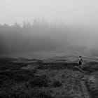 Fantômer : l’art de disparaître pour mieux se retrouver"