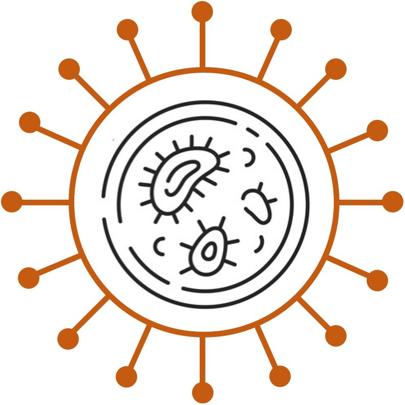 Long COVID Research Breakdown