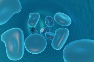 white blood cells. Pixabay