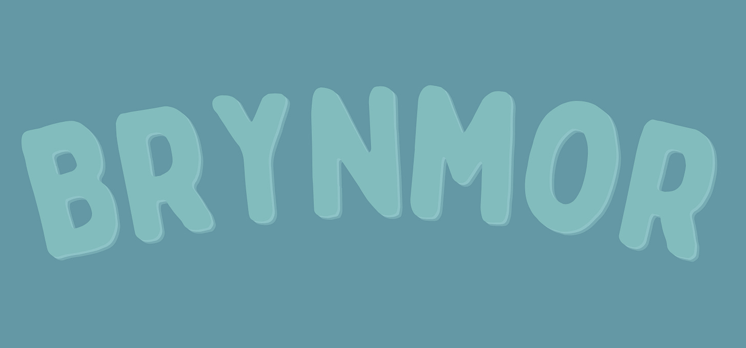 Brynmor, written in light blue text on a darker blue background Brynmor, written in light blue text on a darker blue background
