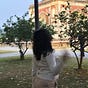 Saisha's avatar