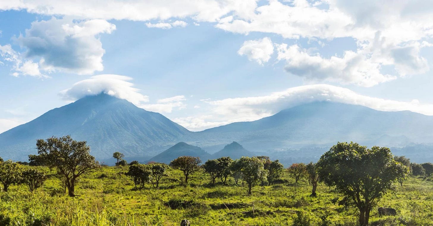 Virunga - Chocolate Grower - Cocoa Runners