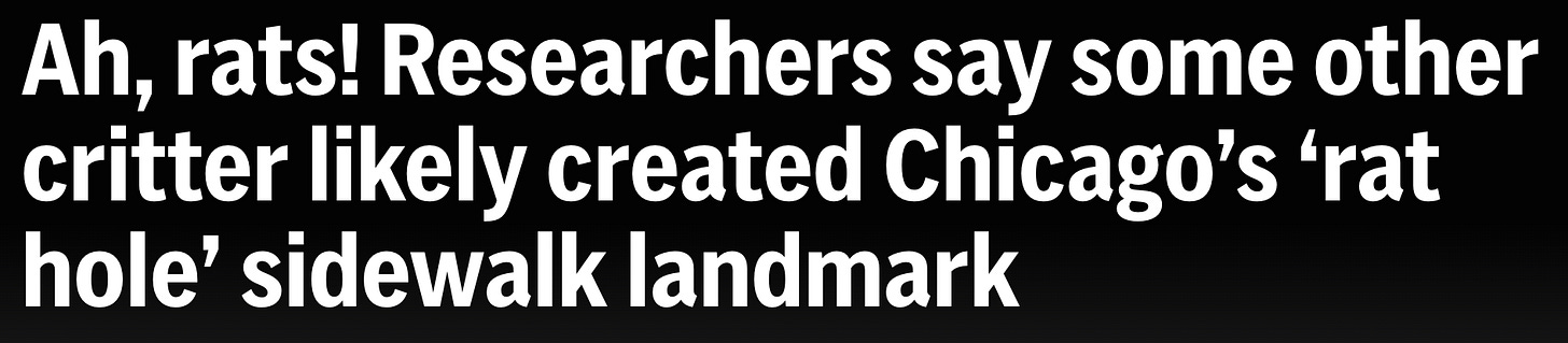 Ah, rats! Researchers say some other critter likely created Chicago’s ‘rat hole’ sidewalk landmark