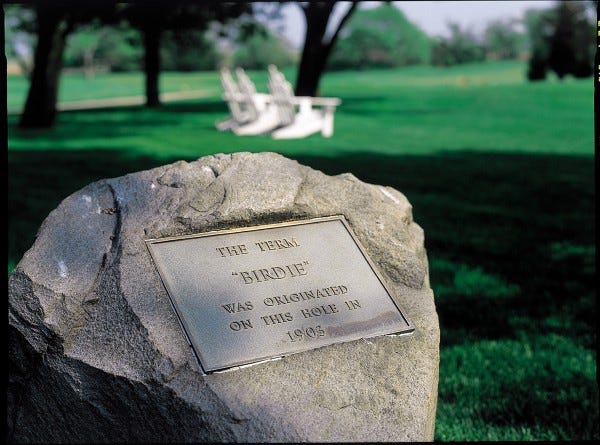 Where Does The Term Birdie Come From?